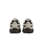 IH0946-100 3